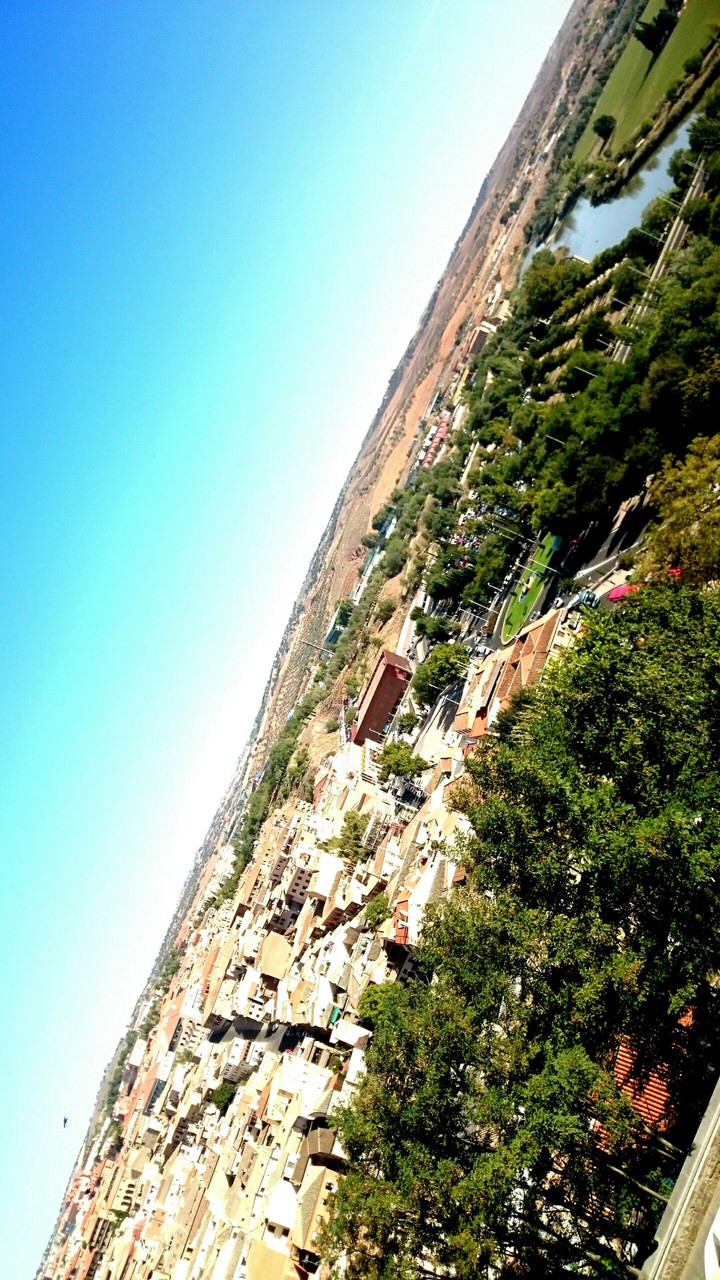 STAMATIOS