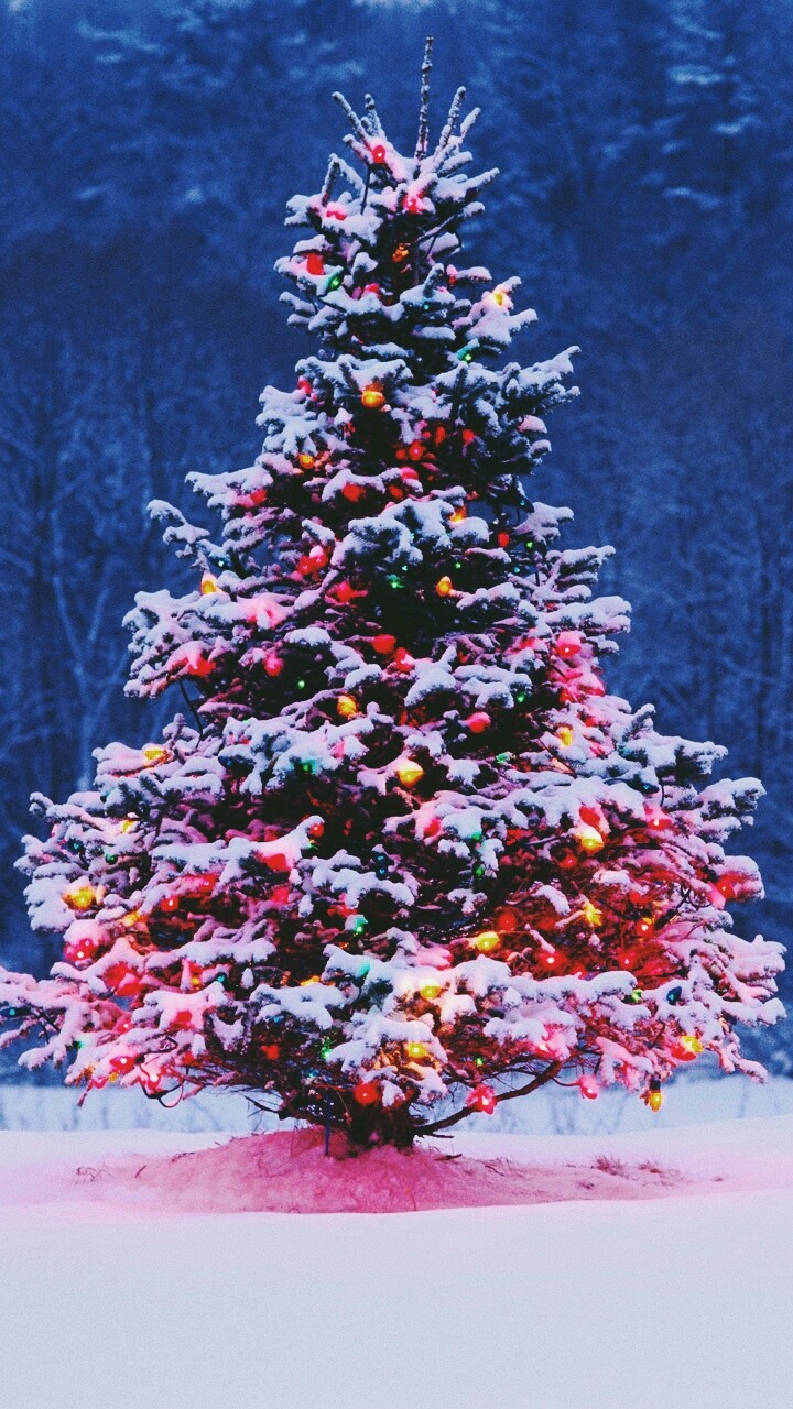 My Favorite Holiday-Christmas