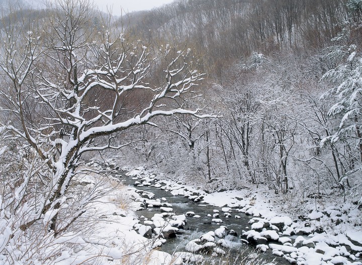 겨울의전경