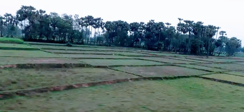plain land
