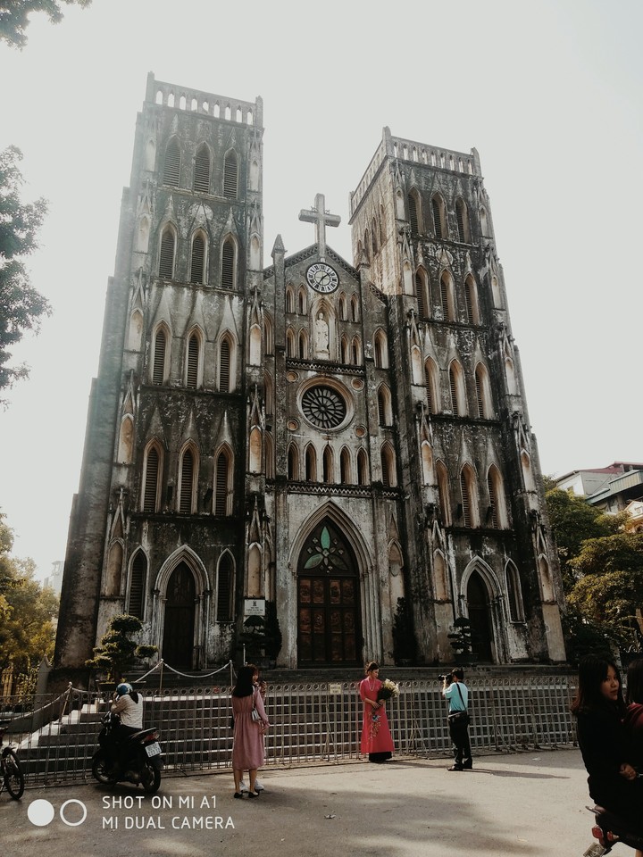 Vietnam Cetheral
