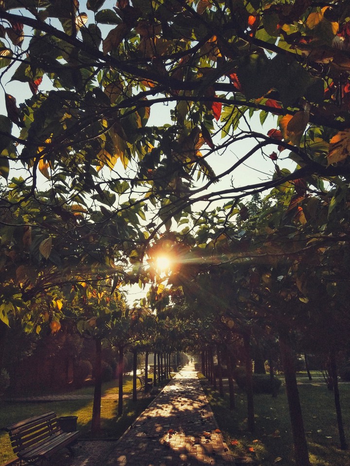 September