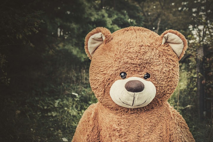 teddy