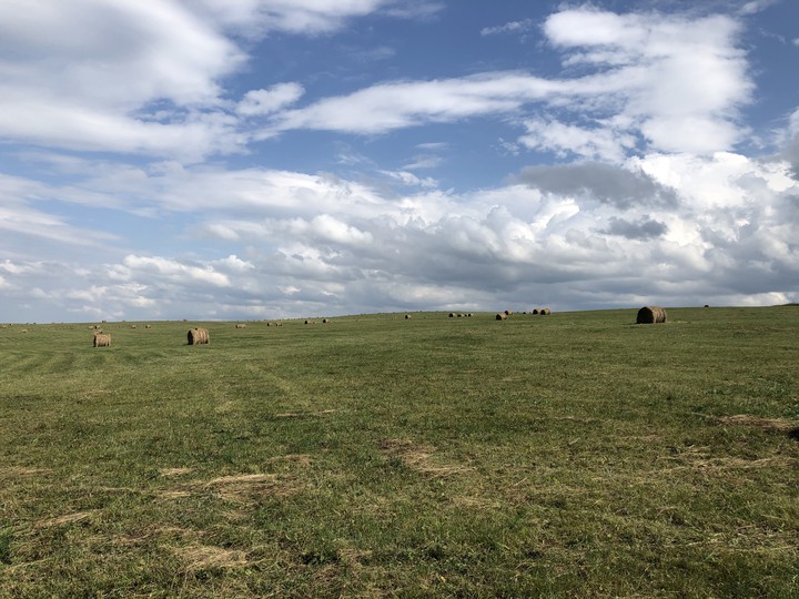 Infinite fields