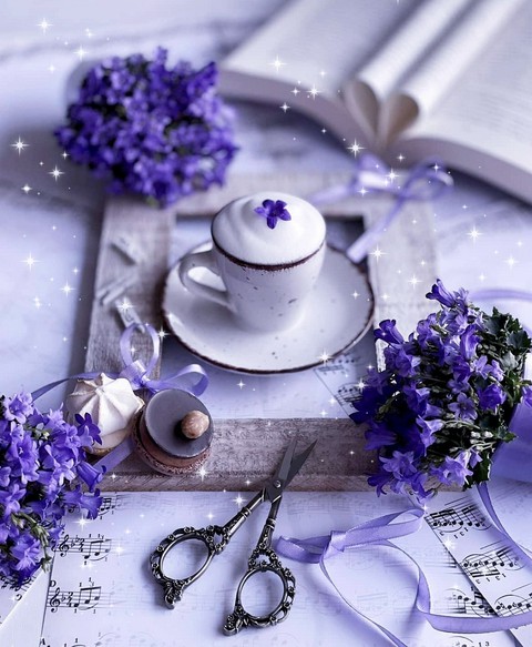 Lovely mood ✨