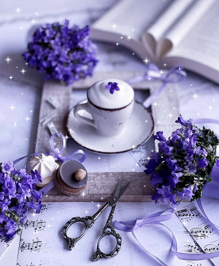 Lovely mood ✨