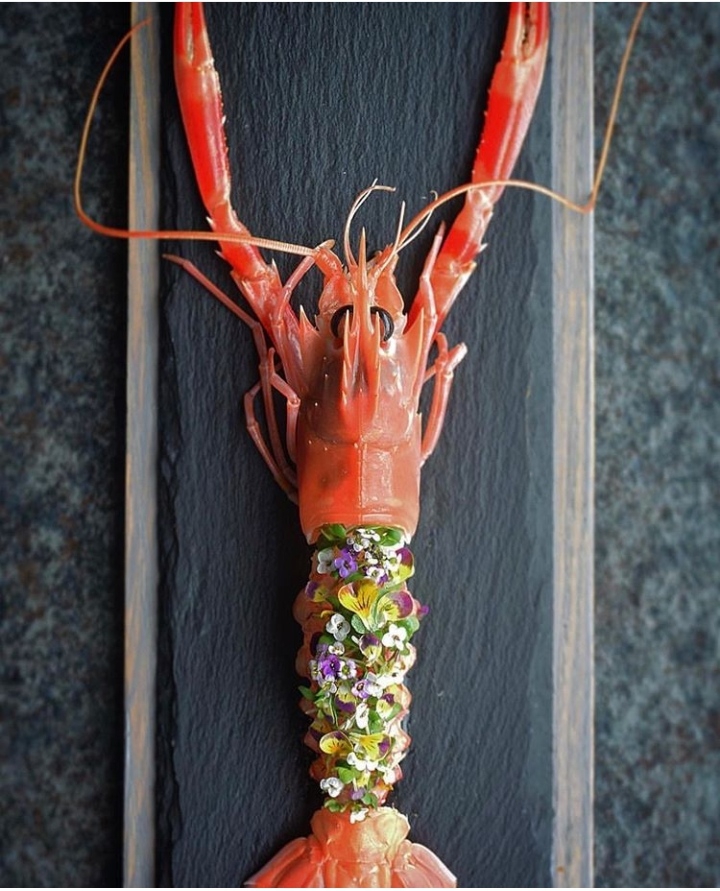 no-body but lobsters.