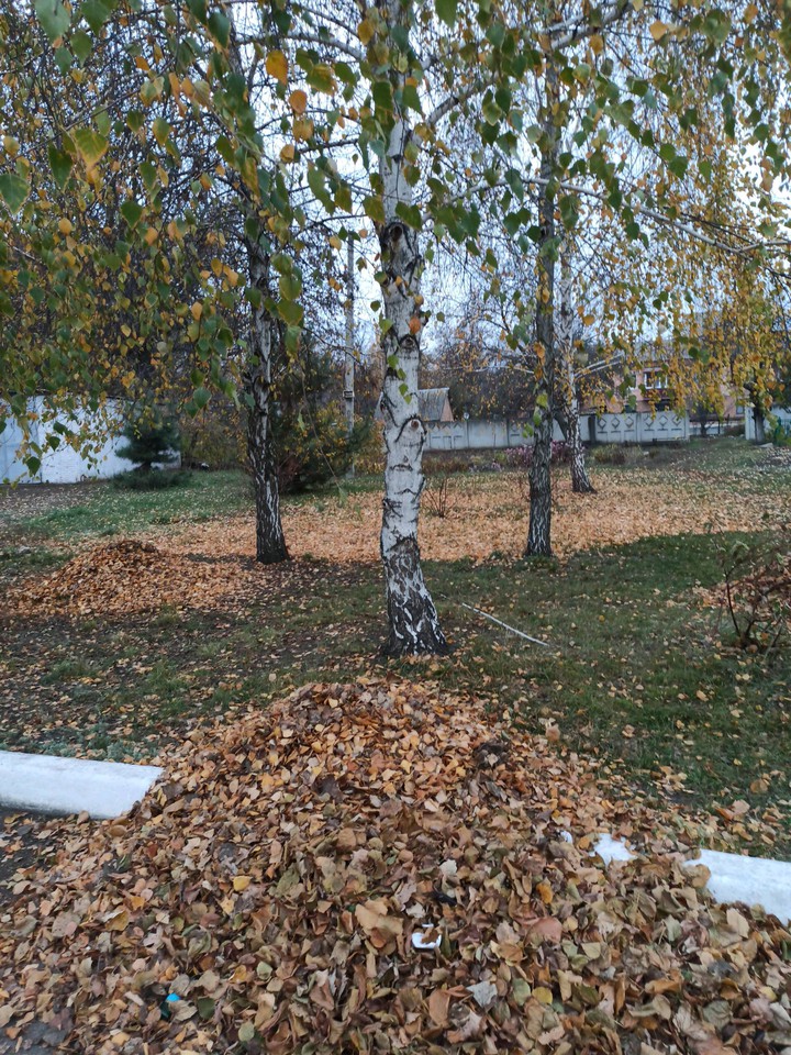 #Україна #осінь #autumn