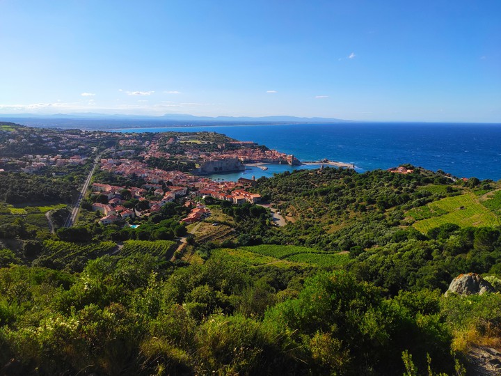 Collioure