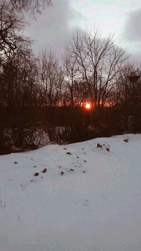 Winter wonderland