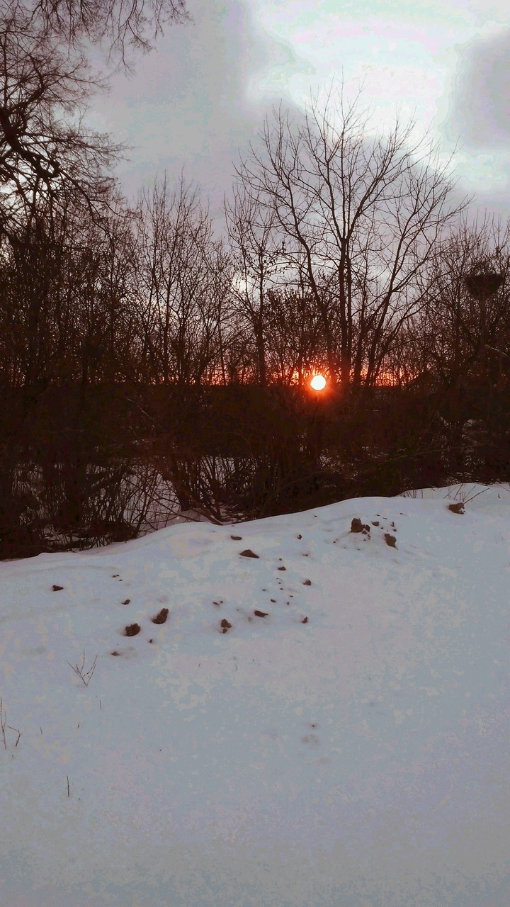 Winter wonderland