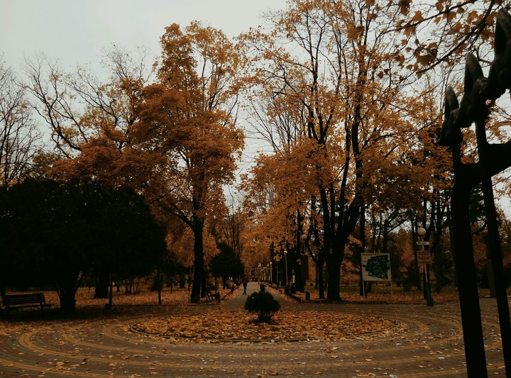 park