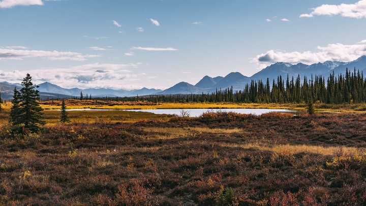Landscape
