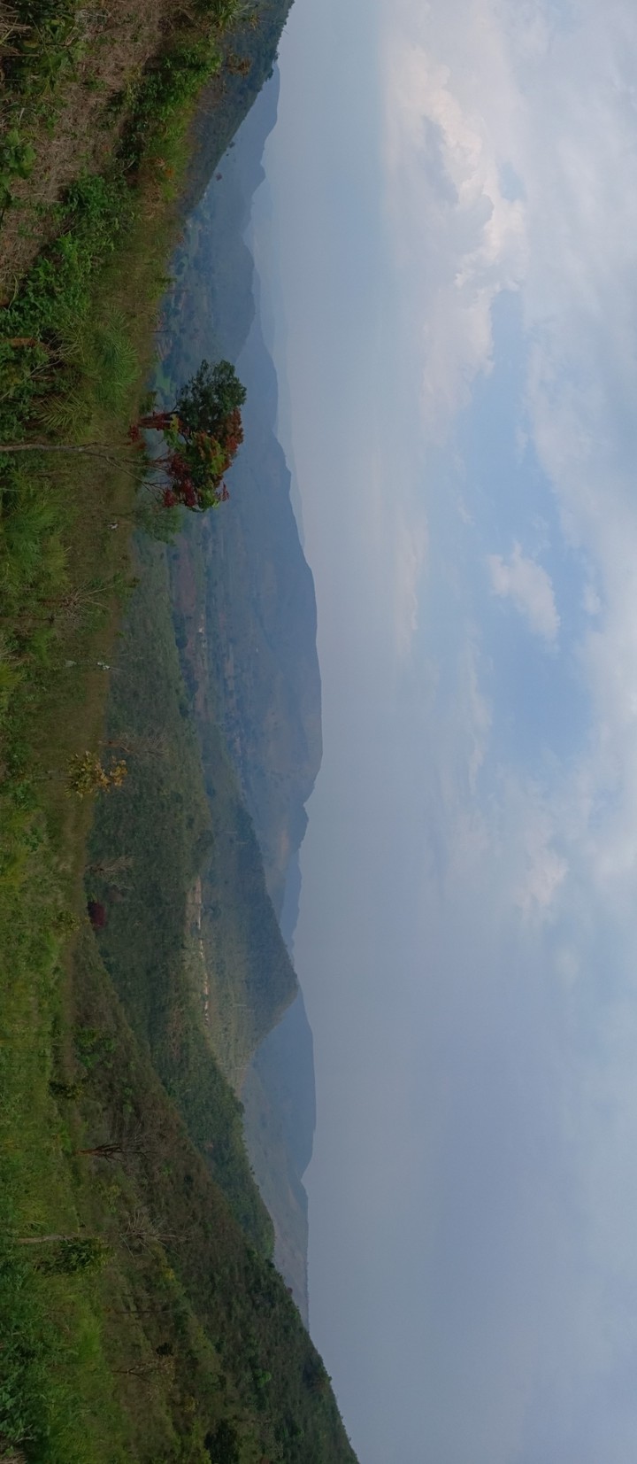 nature of bandikar