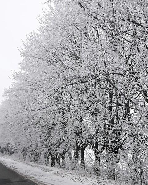Snow
