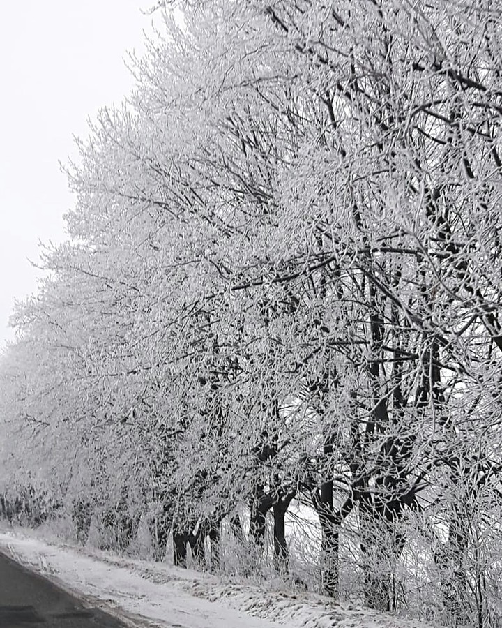Snow