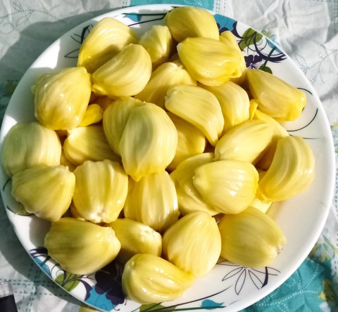 jackfruit