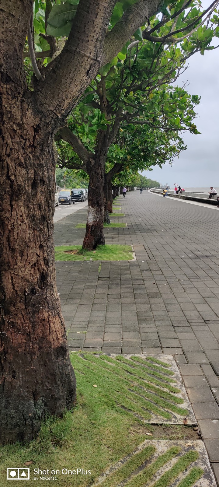 Marine Drive, Mumbai
