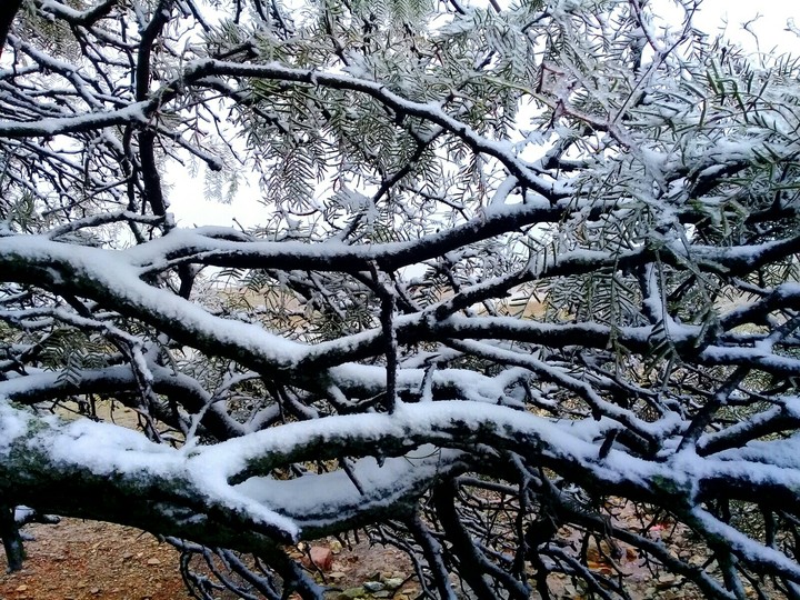 Otoño❄