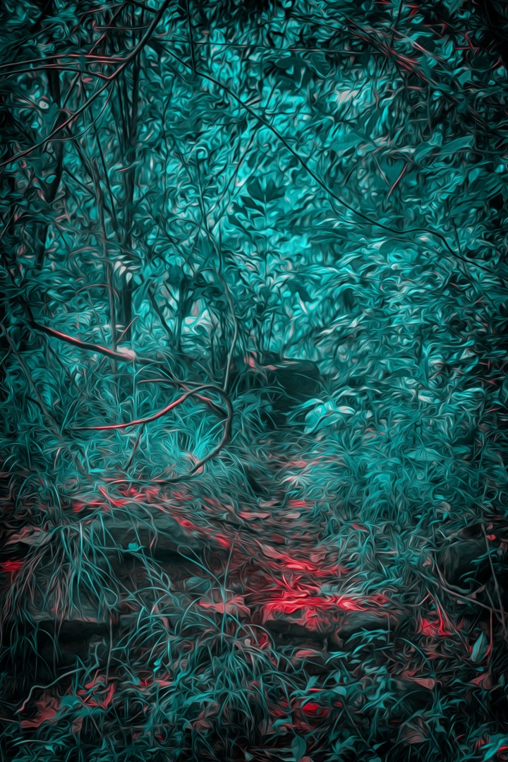 fantasy Forest