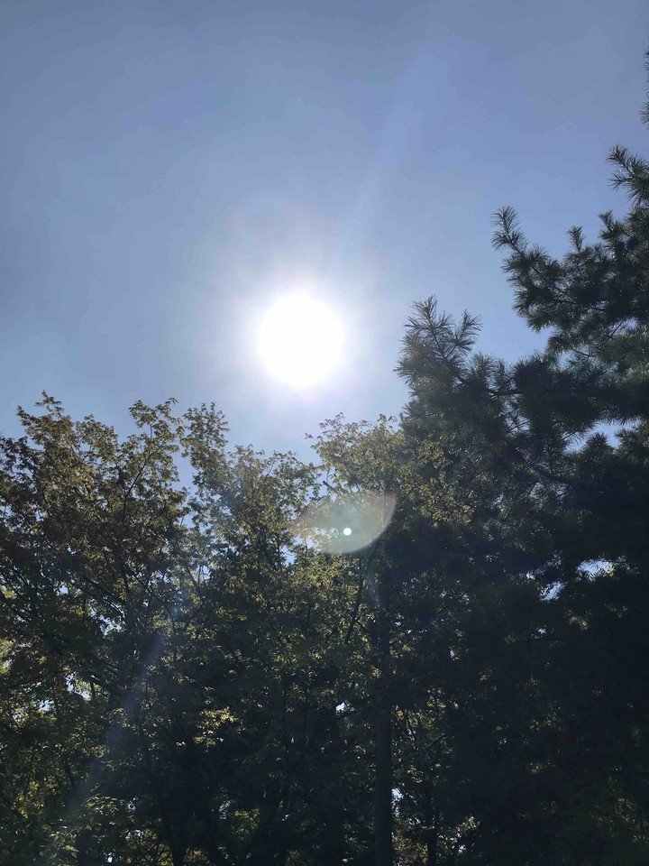 Green and Sun