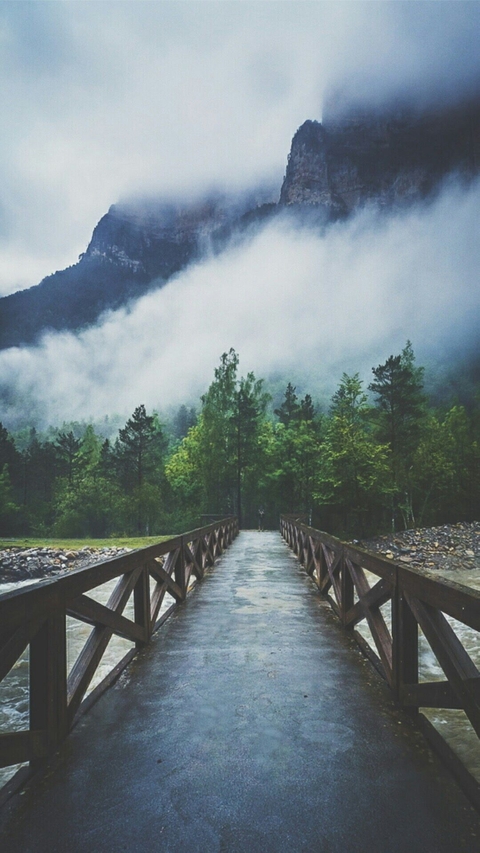 Cloudy Fogg #Wall_7
