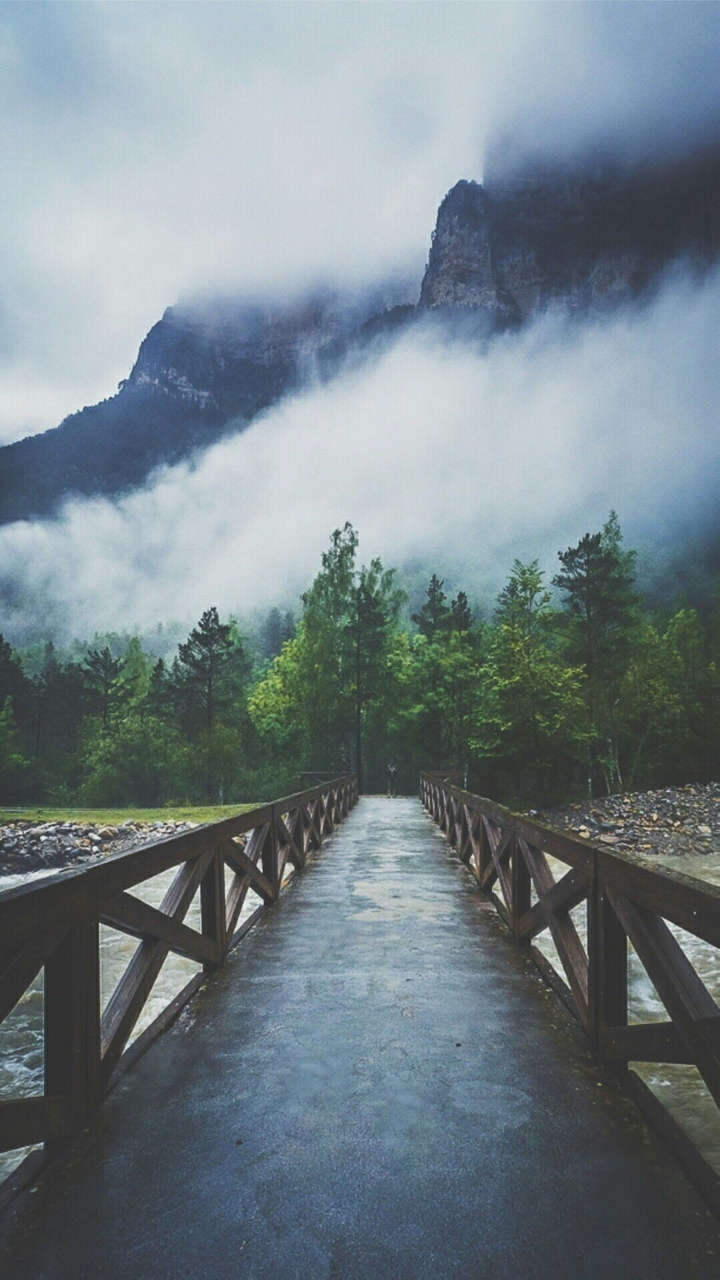 Cloudy Fogg #Wall_7