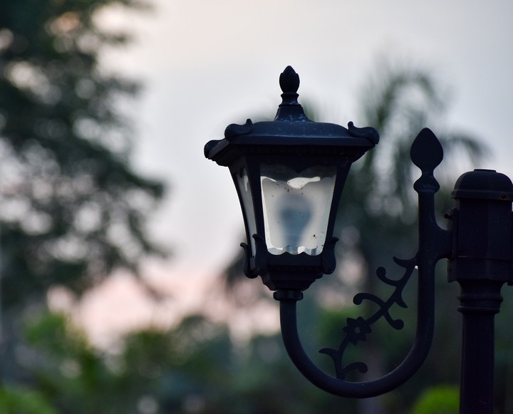 The lamp post