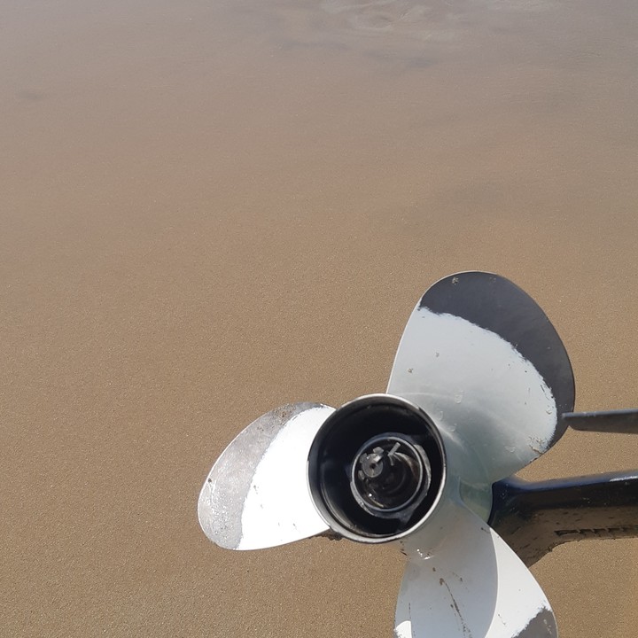bot