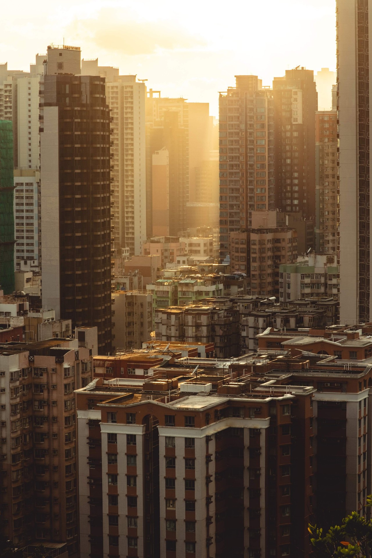 papéis de parede metropolis, daytime