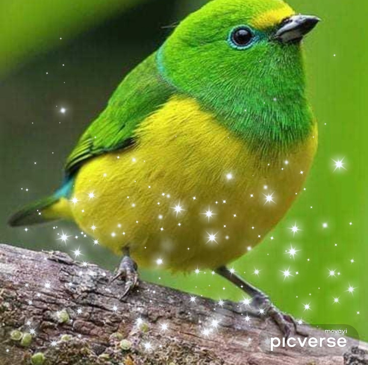 அ
