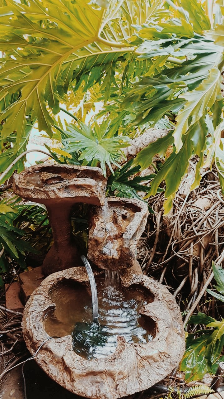 Fountain