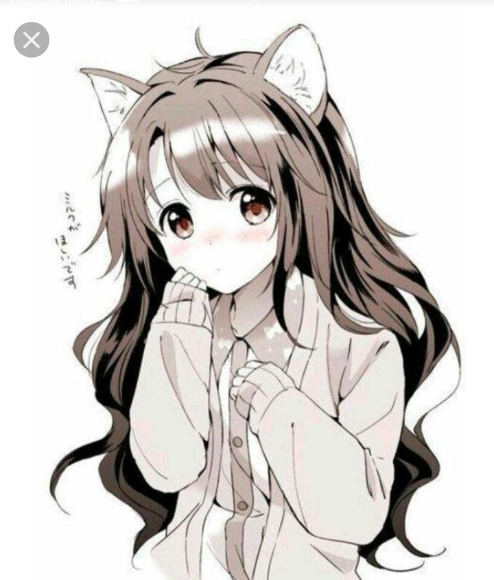 anime