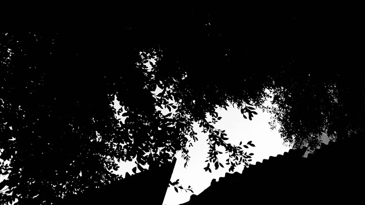 Roofs & Shadows