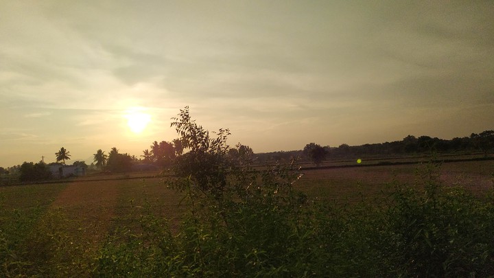 sun rays
