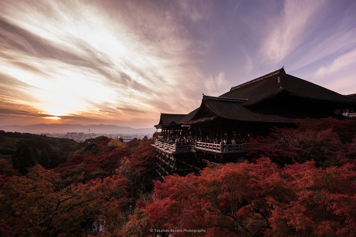 temple sky and red tree