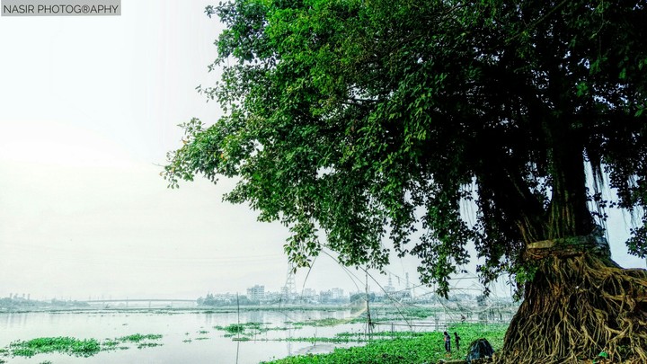 nature of the heart