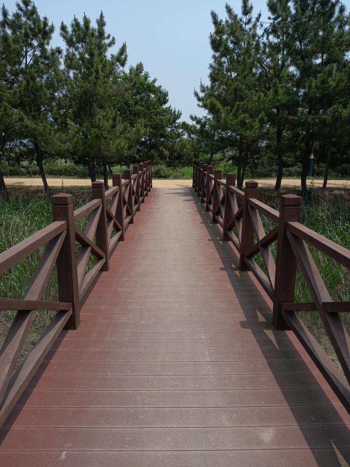 Korea's bridge