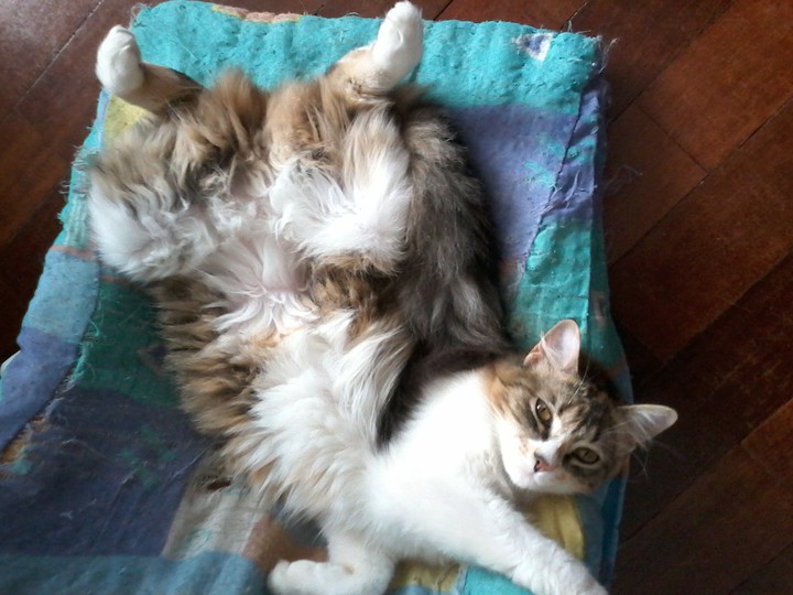 Modelo sensual