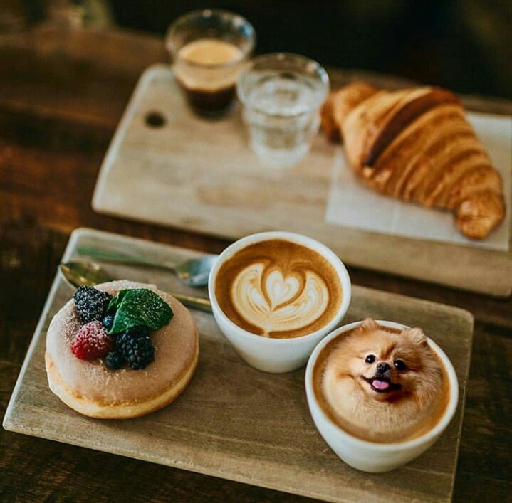coffee is love❤❤