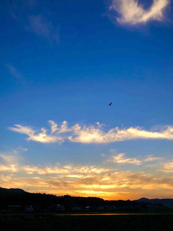sunset of korea