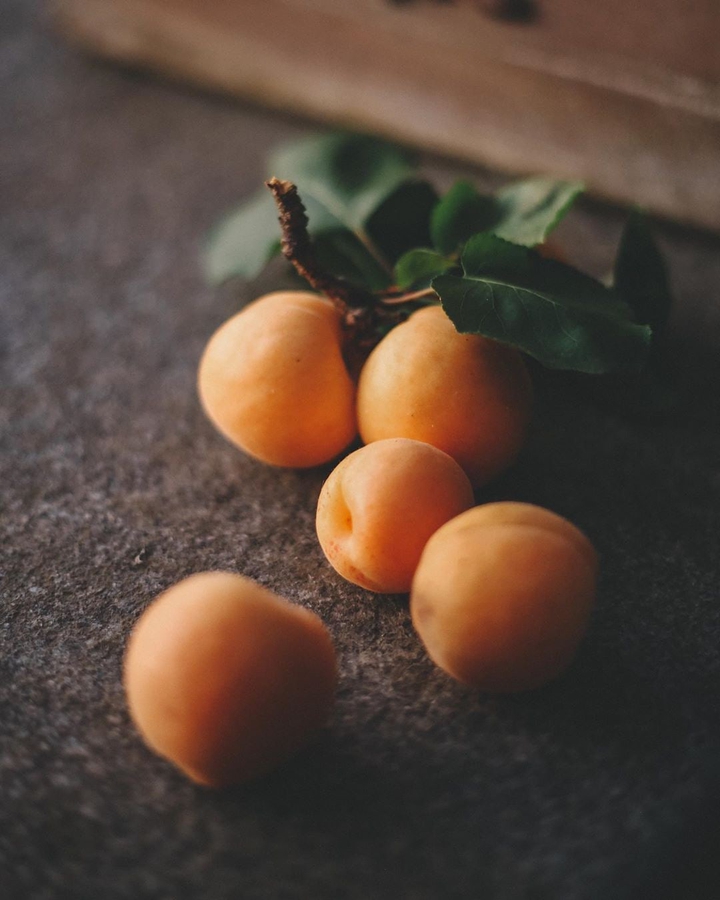 Apricot