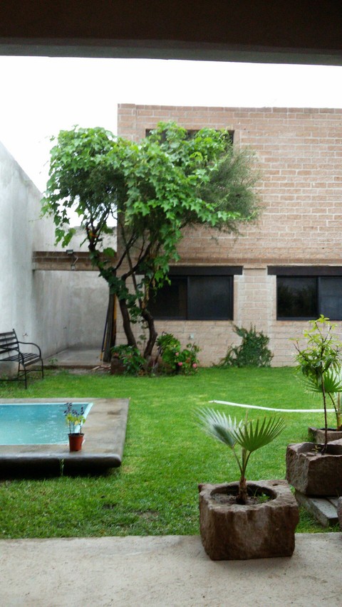 jardín