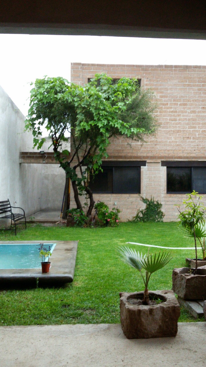 jardín