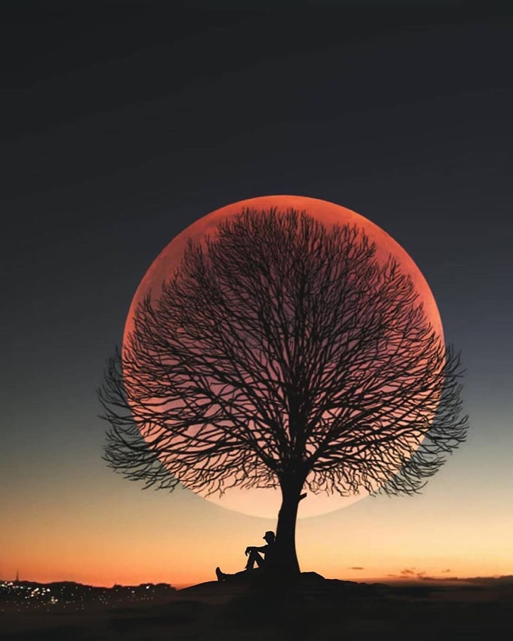 beautiful sunset