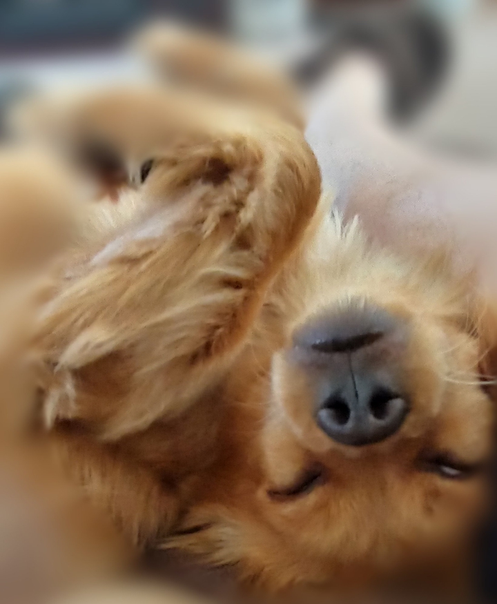 sleepy boy