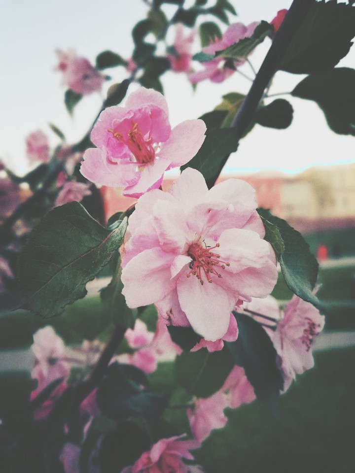 Spring?