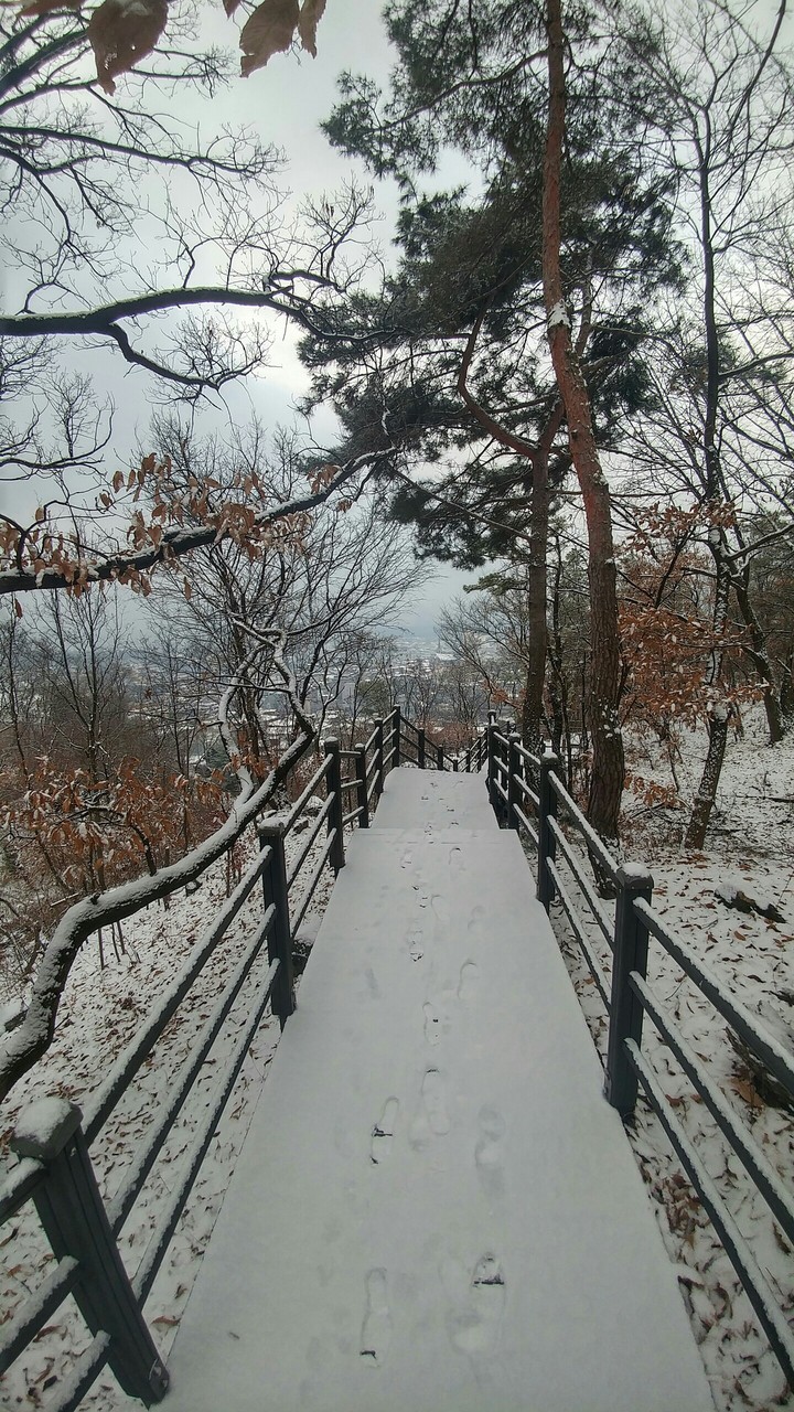 snowy road
