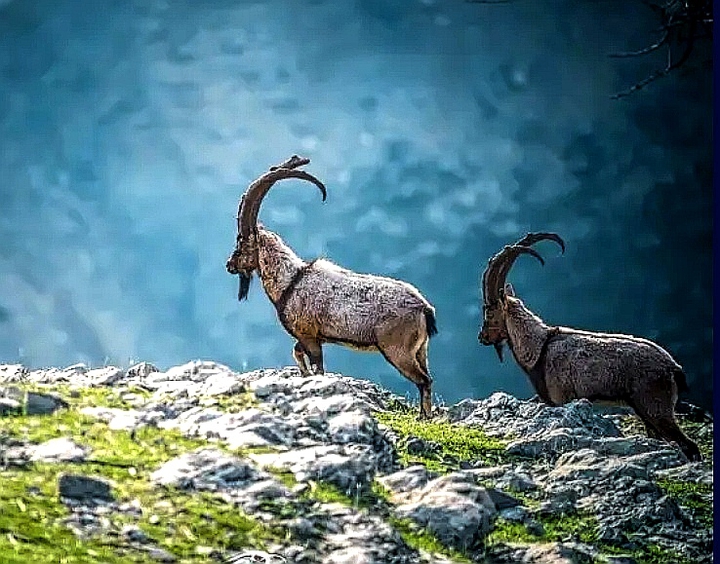 .