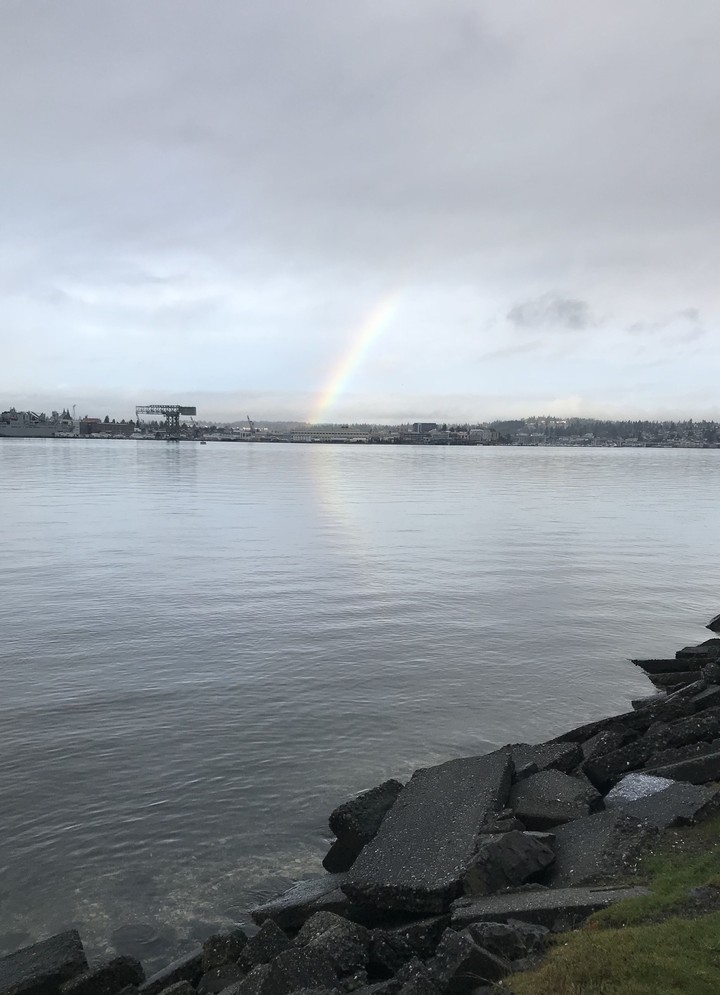 Rainbows over the bay